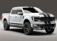 Ford F-150 Shelby