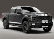Ford F-150 Shelby