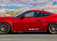 Ford Mustang Shelby 2024