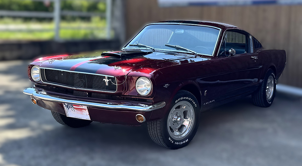 Ford Mustang Fastback Shelby Clone GT350 1965